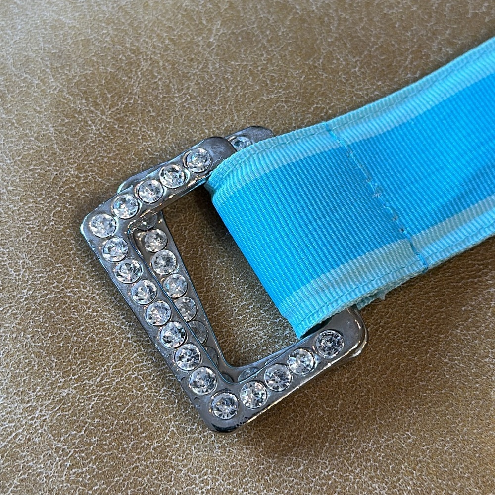 Aqua Ribbon Belt - Picture 3 of 6